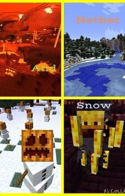 Nether And Snow