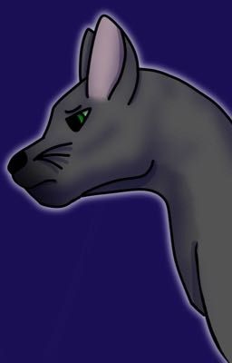 Nettlestar's Truimph (Warrior Cats Story) {being re-written}