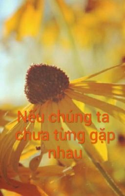 Nếu chúng ta chưa từng gặp nhau