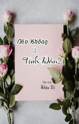 Nếu Không Là Tình Đầu? 