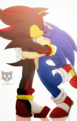 Never Ending Love (Sonadow)