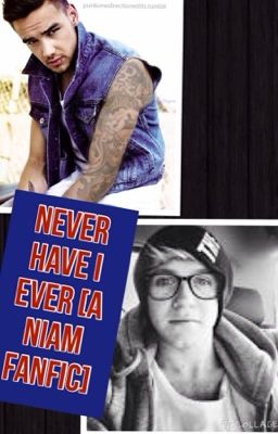 Never Have I Ever [A Niam FanFic]