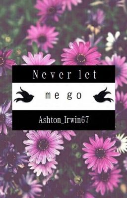 Never let me go // Lashton - Malum