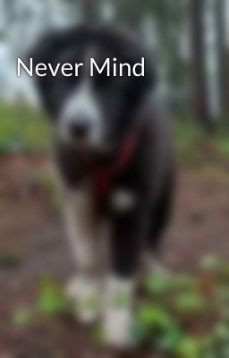 Never Mind