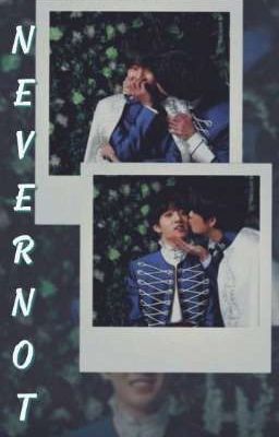 NEVER NOT | TAEKOOK|