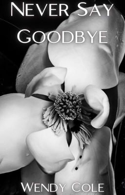 Never Say Goodbye