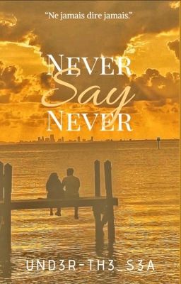 Never say Never