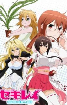 New ashikabi (Sekirei x male reader)