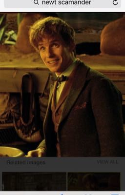 Newt Scamander x reader fanfic