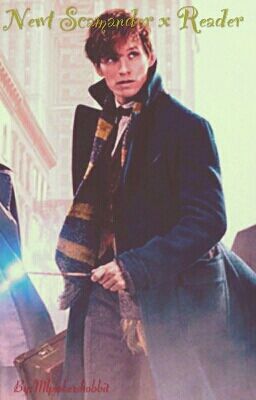 Newt Scamander x Reader one-shots