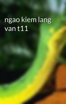 ngao kiem lang van t11