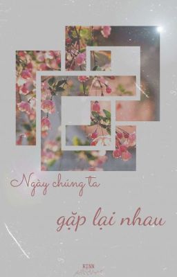 Ngày Chúng Ta Gặp Lại Nhau