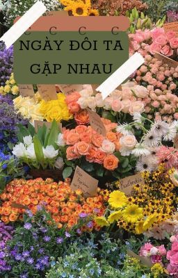 Ngày đôi ta gặp nhau