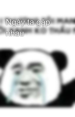 Ngày ta gặp nhau