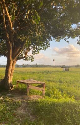 Ngày tháng yên bình [PondPhuwin]