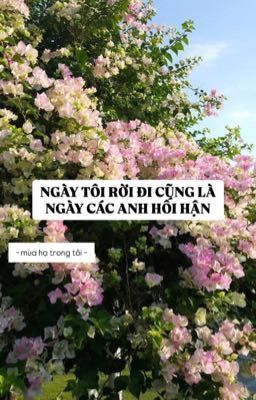 ngày tôi rời đi cũng là ngày các anh hối hận