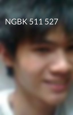 NGBK 511 527