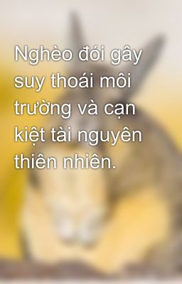 Nghèo đói gây suy thoái môi trường và cạn kiệt tài nguyên thiên nhiên.