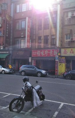 Ngồi mãi sao có thể không loạn (Edit) - Túy Hậu Ngư Ca