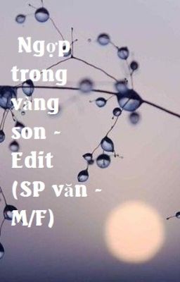 Ngợp trong vàng son - Edit (SP văn - M/F) - Hoàn