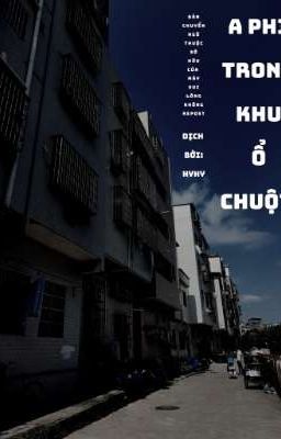 (Ngược) A Phi Trong Khu Ổ Chuột