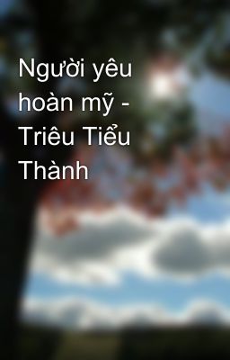 Người yêu hoàn mỹ - Triêu Tiểu Thành