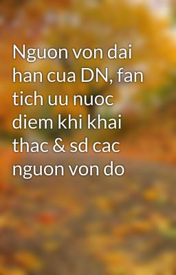 Nguon von dai han cua DN, fan tich uu nuoc diem khi khai thac & sd cac nguon von do