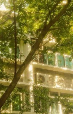 nguyên khang  ; 𝐩𝐞𝐭𝐢𝐭 𝐚𝐦𝐨𝐮𝐫.