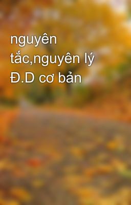 nguyên tắc,nguyên lý Đ.D cơ bản