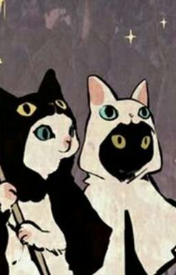 Nhảm nhí time(。・ω・。)ノ♡