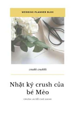 Nhật ký crush của bé Mèo