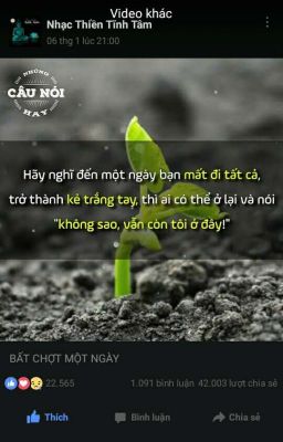 Nhật ký của tôi