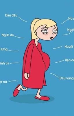 Nhật ký mẹ Mèo