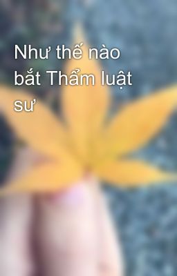 Như thế nào bắt Thẩm luật sư