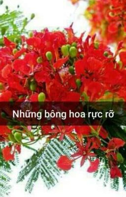 Những bông hoa rực rỡ