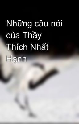 Những câu nói của Thầy Thích Nhất Hạnh