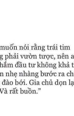 Những Câu Nói Hay - Sưu Tầm