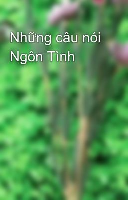 Những câu nói Ngôn Tình