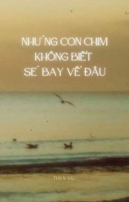 Những con chim không biết sẽ bay về đâu