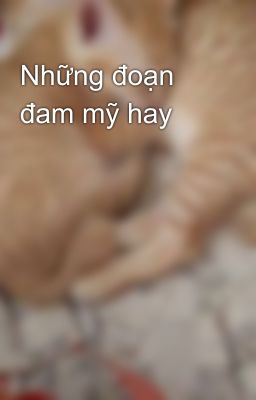 Những đoạn đam mỹ hay