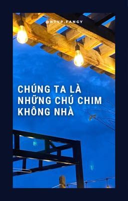 những đôi cánh không nhà