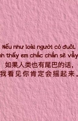 Những giấc mơ đêm