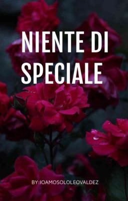 NIENTE DI SPECIALE