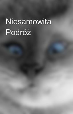 Niesamowita Podróż