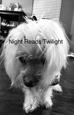 Night Reads Twilight