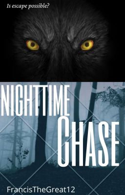 Nighttime Chase