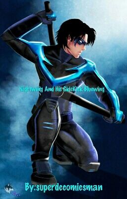 Nightwing And Bluewing