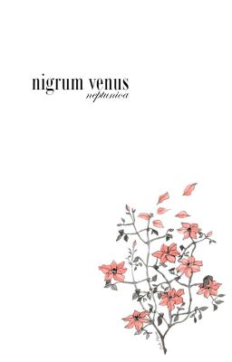 nigrum venus [double-drabble]