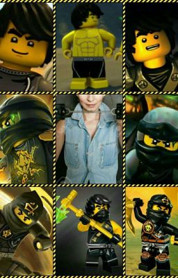 Ninjago - Cole X Reader (A Law breaker's Attachment)