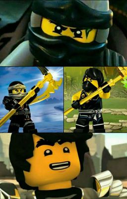 Ninjago - Cole X Reader | One Shot (A Match Made)